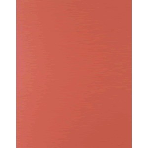 CARTULINA FASHION 65 X 50 COLOR ROJA