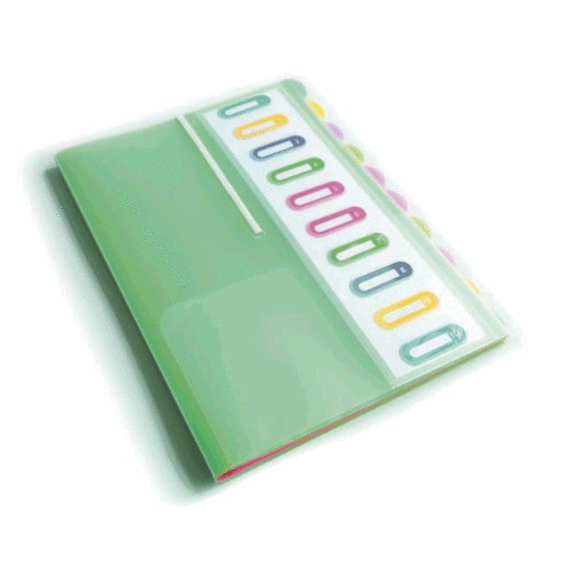 FOLDER ORGANIZADOR C/10SEPARADORES TAMANO CARTA