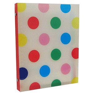 CUADERNO TIPO CARPETA C/ESPIRAL REUSABLE 60 HOJAS