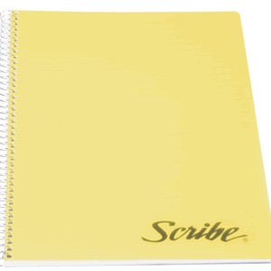 CUADERNO PROFESIONAL CUADRO CH SCRIBE CLASICO 100H