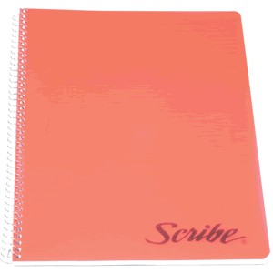 CUADERNO PROFESIONAL SCRIBE RAYA 100 HOJAS CLASICO