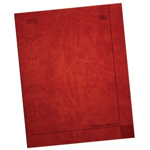 CUADERNO EJECUTIVO RAYA NORMA 72 HOJAS DAILY NOTES